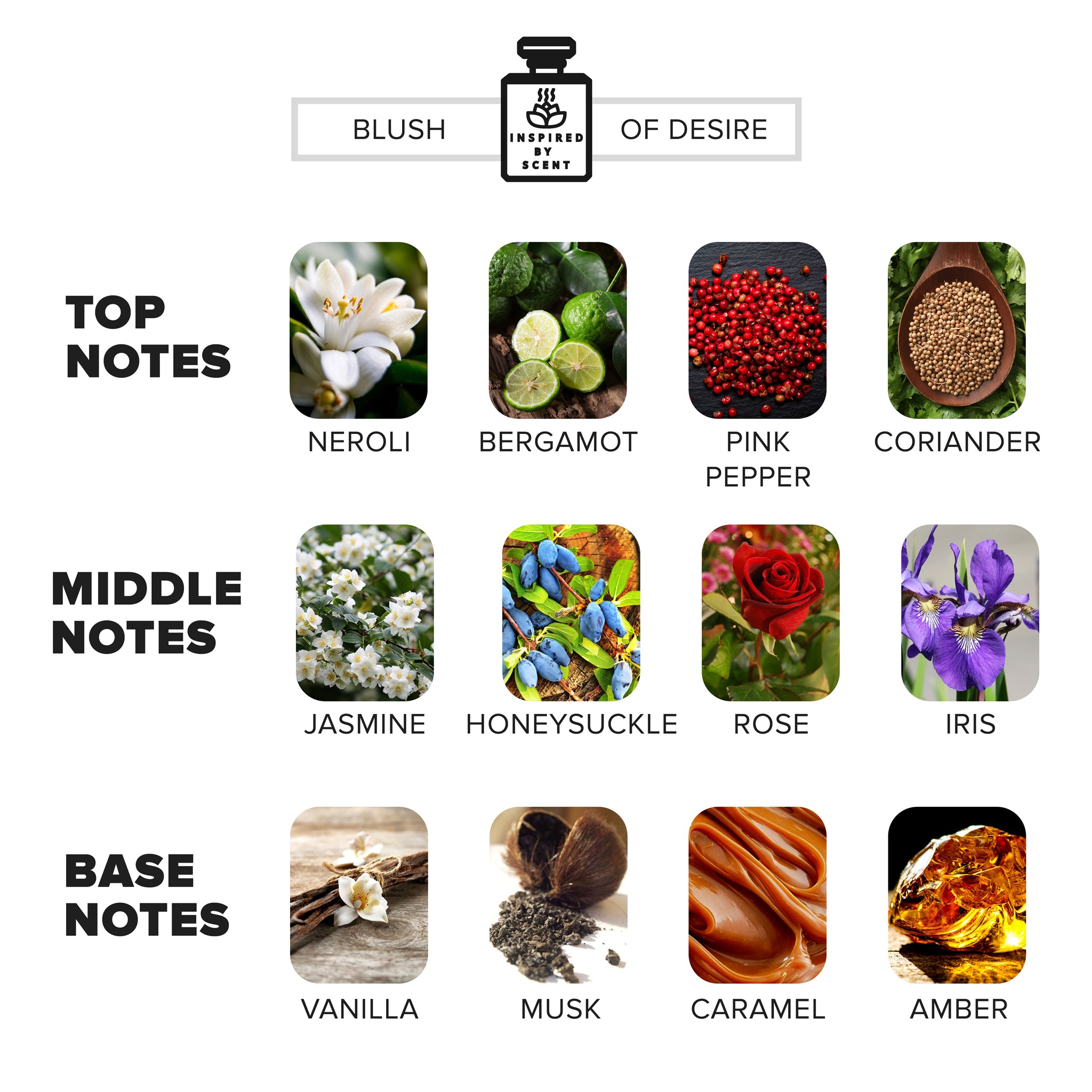 Car Air Freshener Inspired By Scent - LOVE Don't Be SHY, #18 Blush of Desire