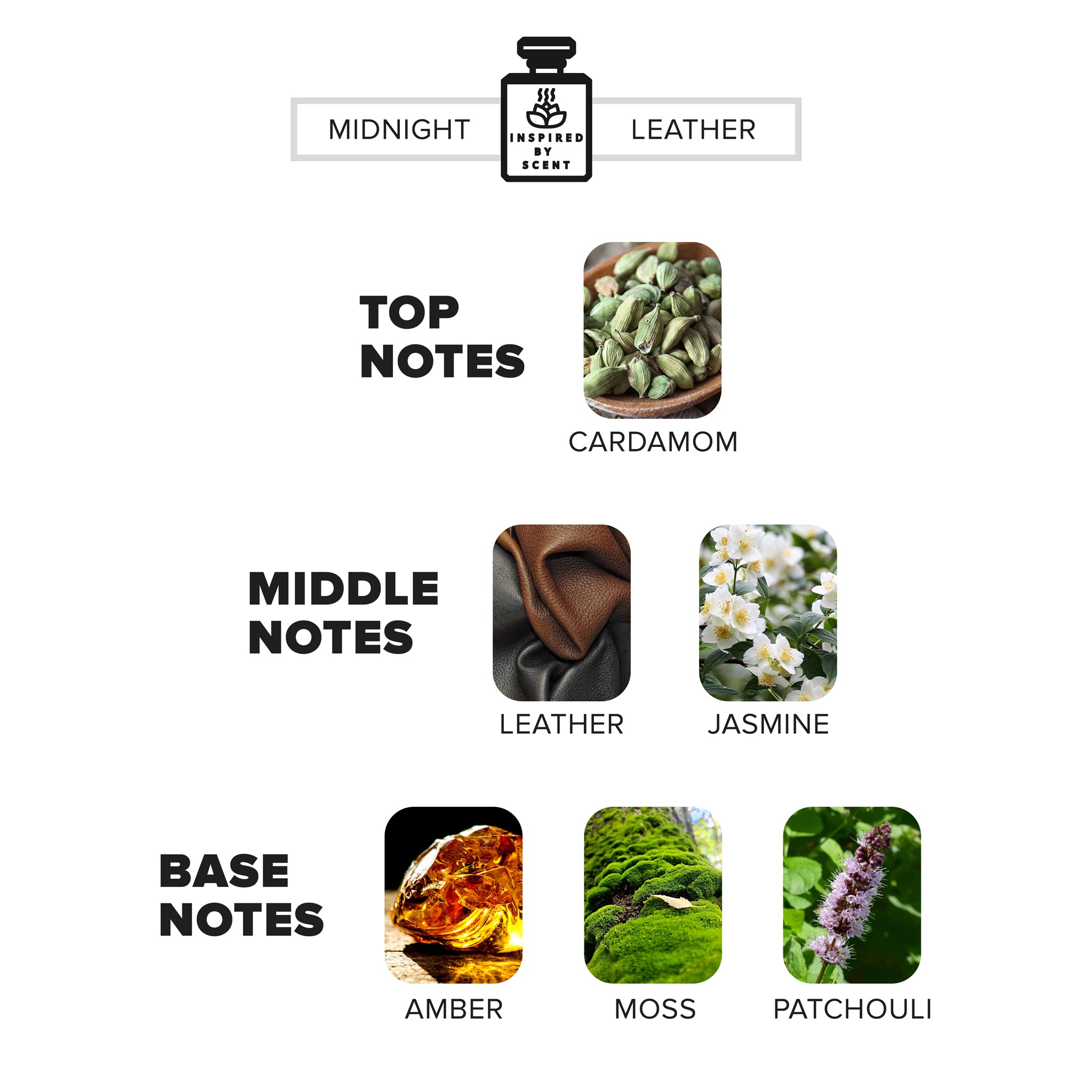 Car Air Freshener Inspired By Scent - LEATHER OMBRE, #24 Midnight Leather