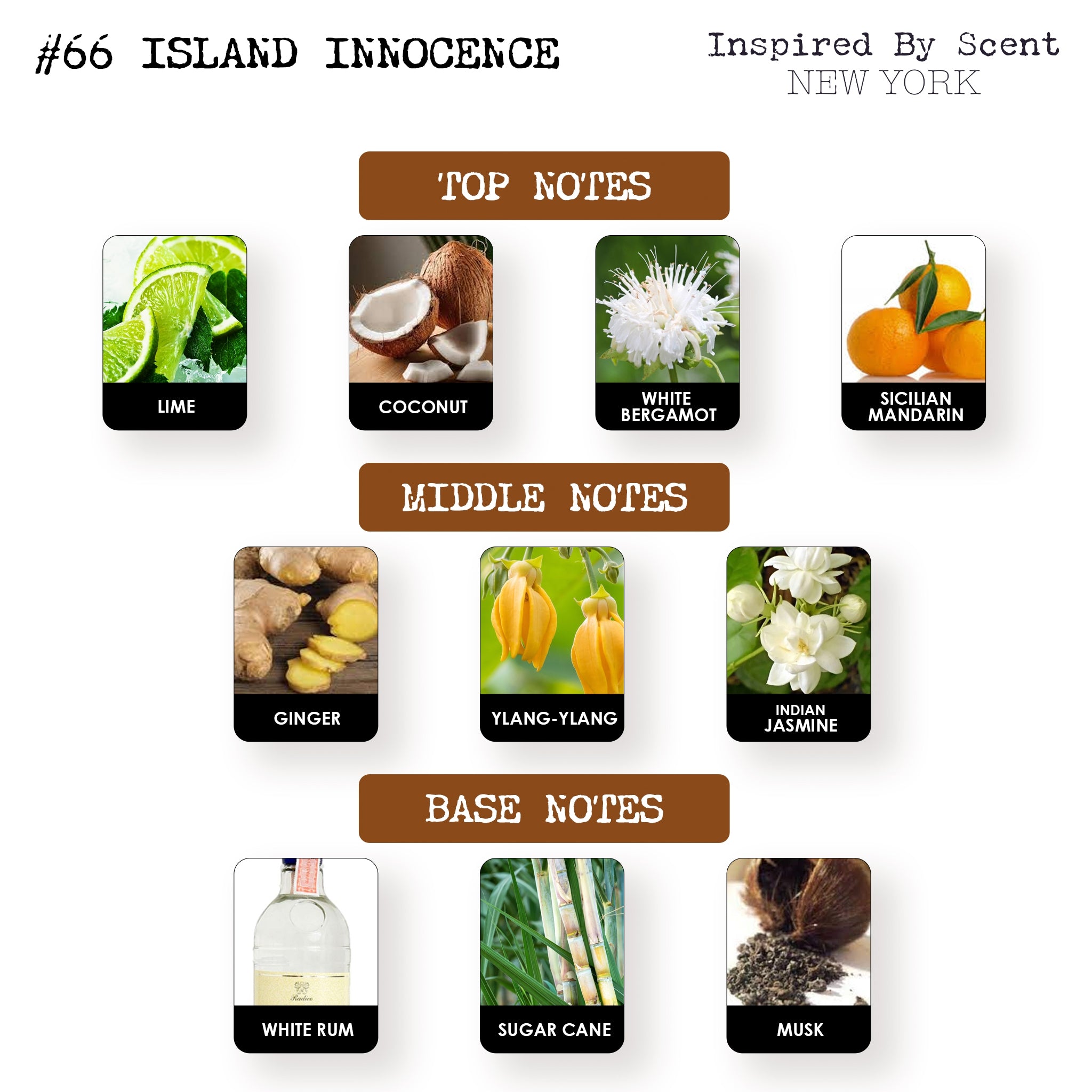 #66 Island Innocence Parfum
