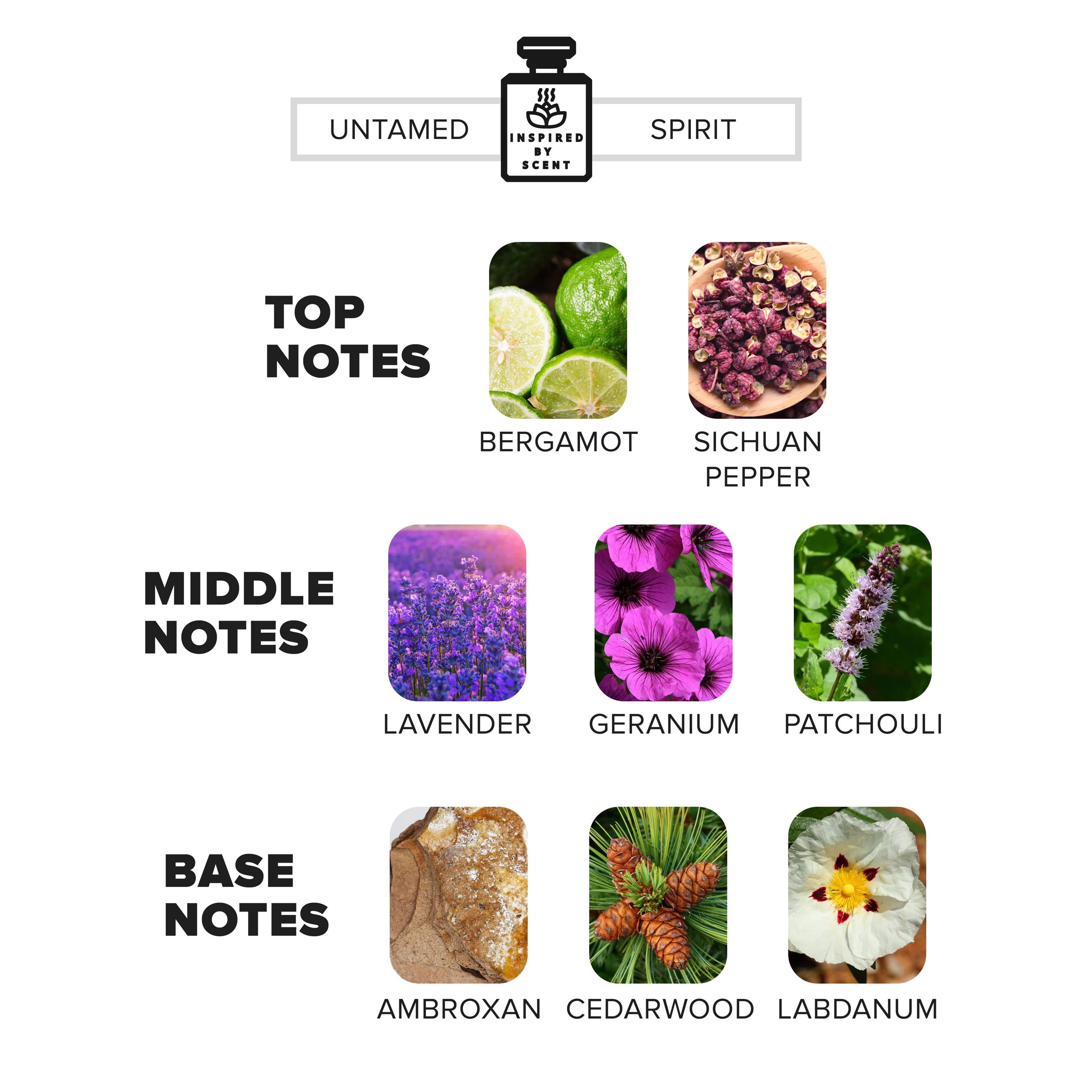 Inspired By Scent Savage, #10 Untamed Spirit Car Air Freshener, Custom Unisex Car Diffuser Gift For Him For Her, Handmade In New York