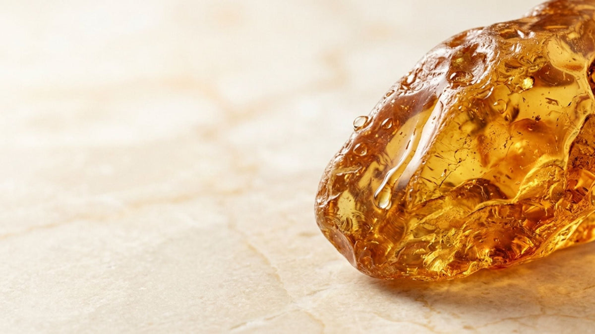 What Does Amber Smell Like? Our Best Amber Perfumes