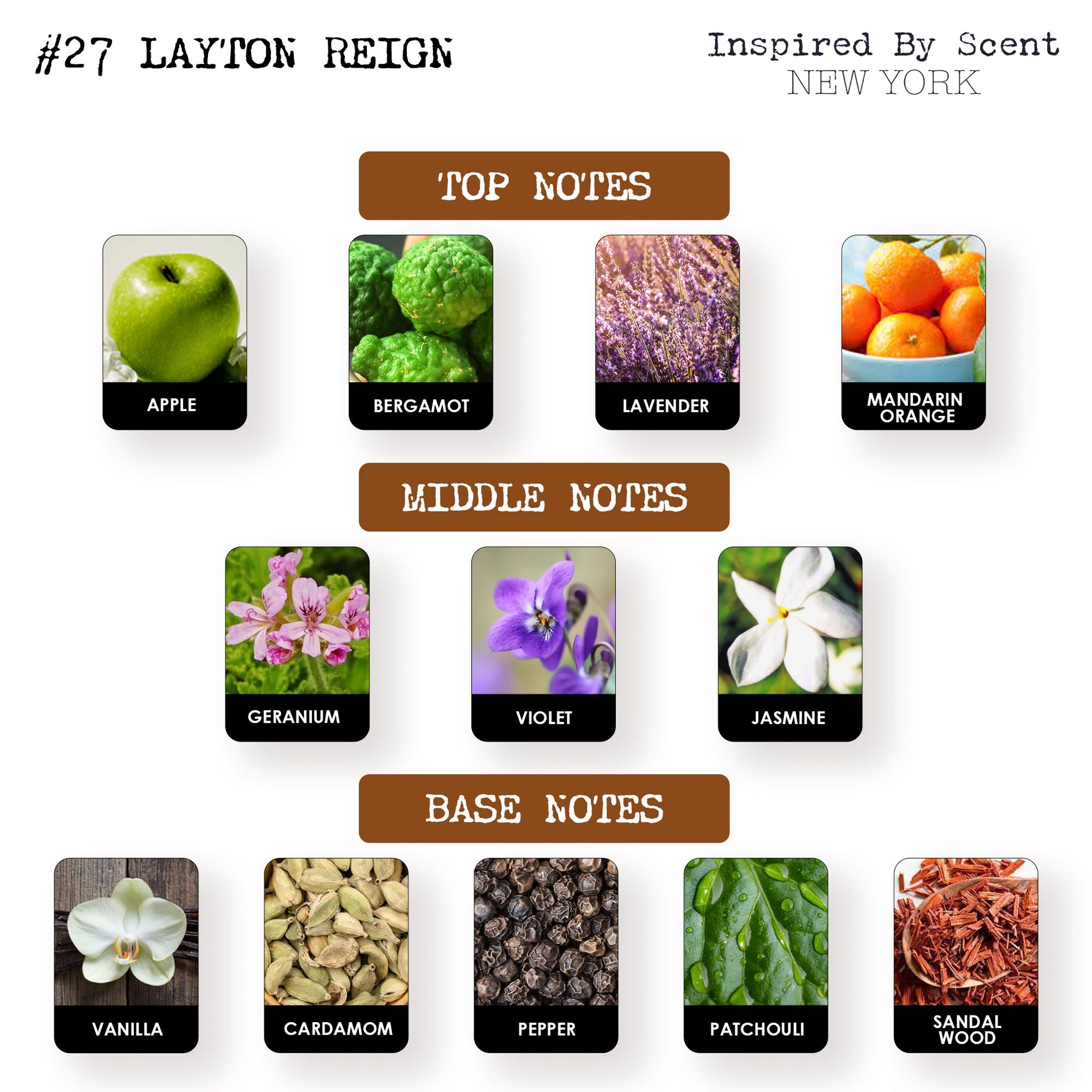 #27 Layton Reign Parfum