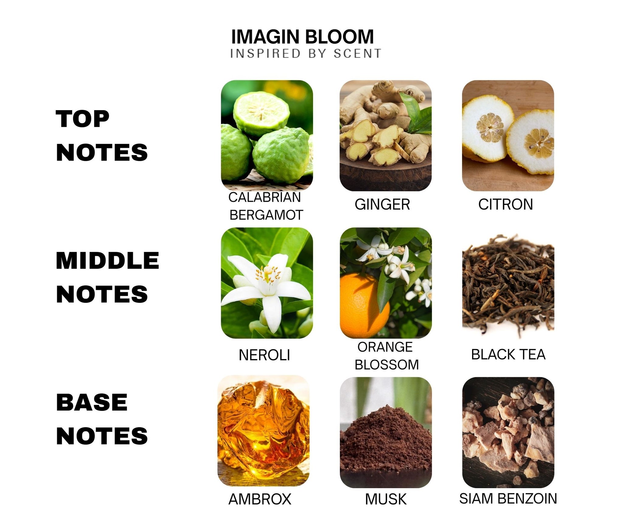 Inspired By Scent IMAGINATION – #3 Imagin Bloom Parfum