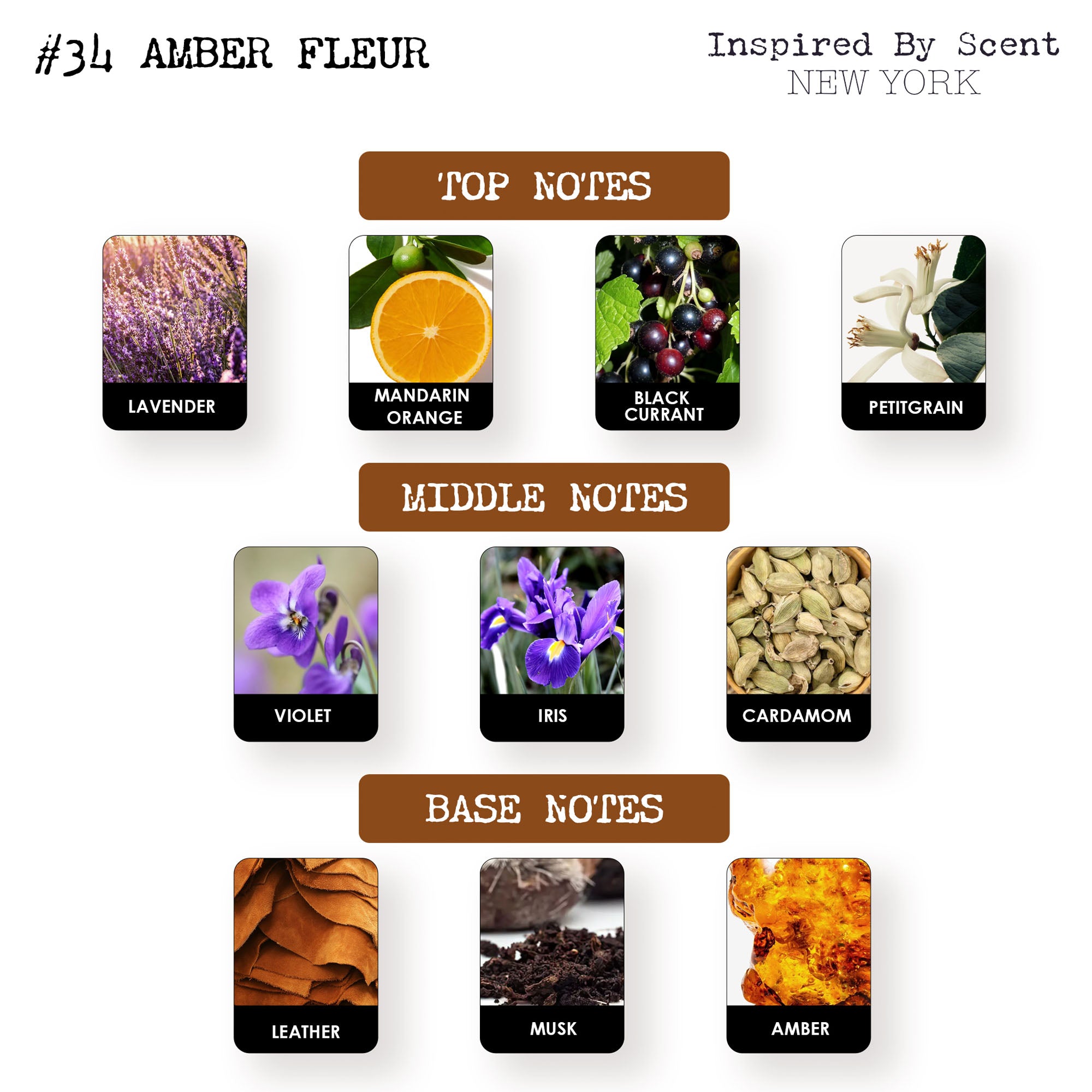#34 Amber Fleur Parfum