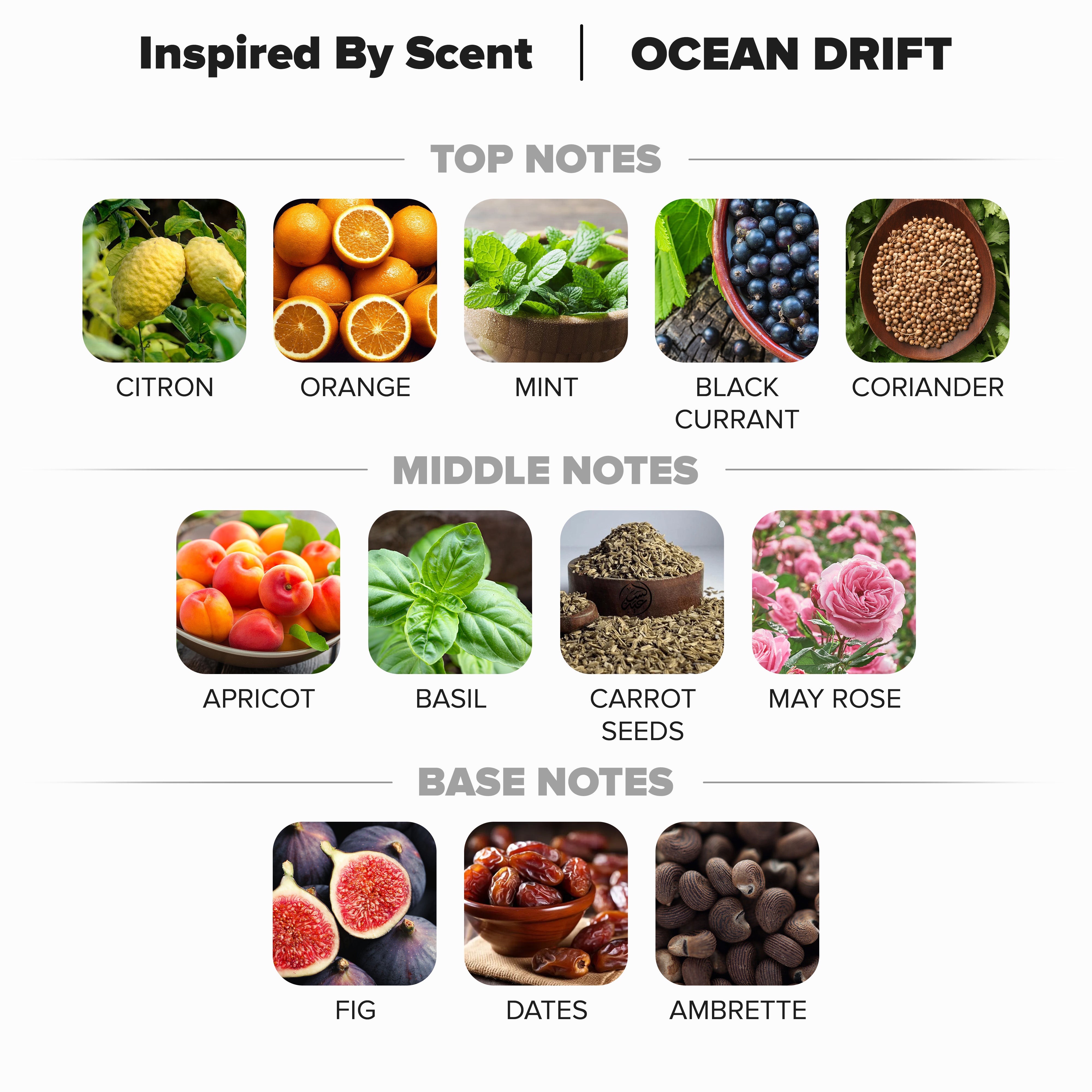 #40 Ocean Drift Parfum
