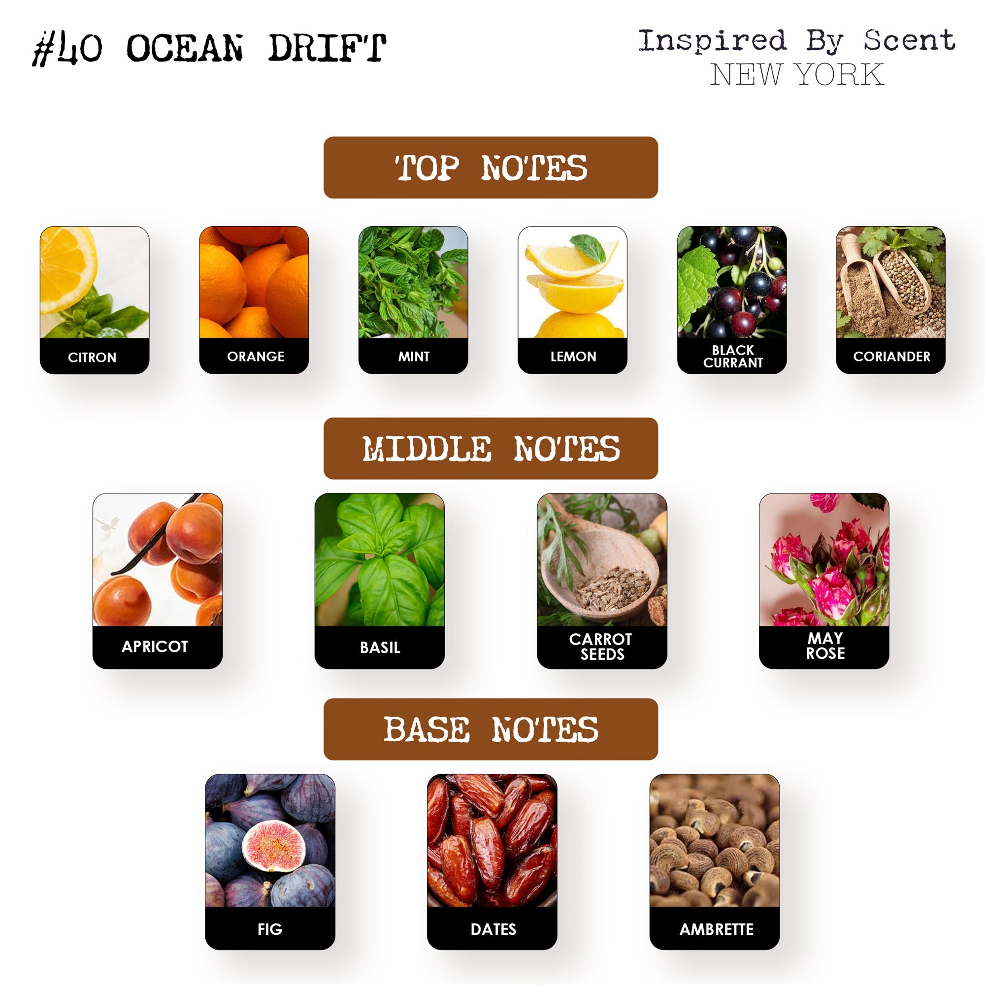 #40 Ocean Drift Parfum