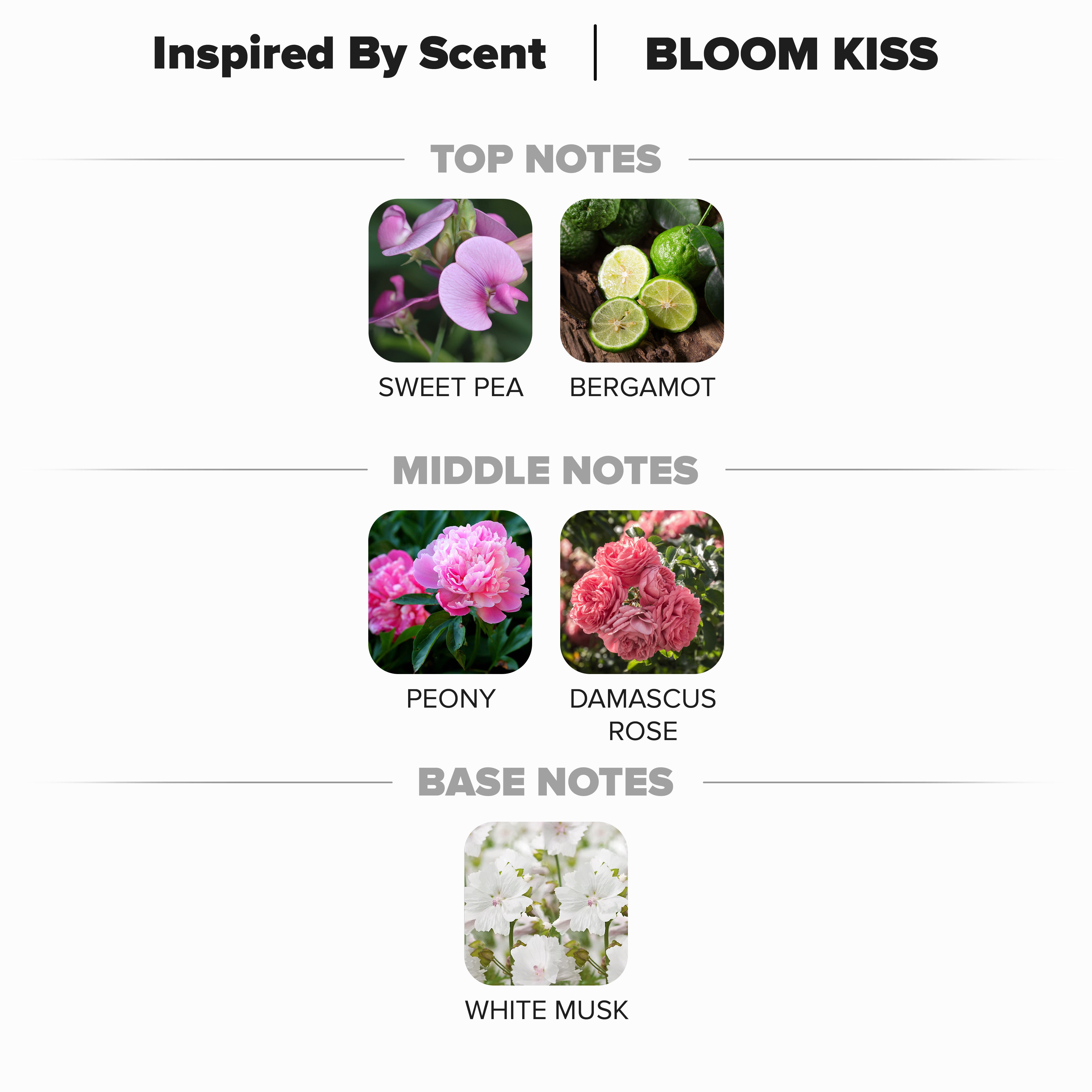 #41 Bloom Kiss Parfum