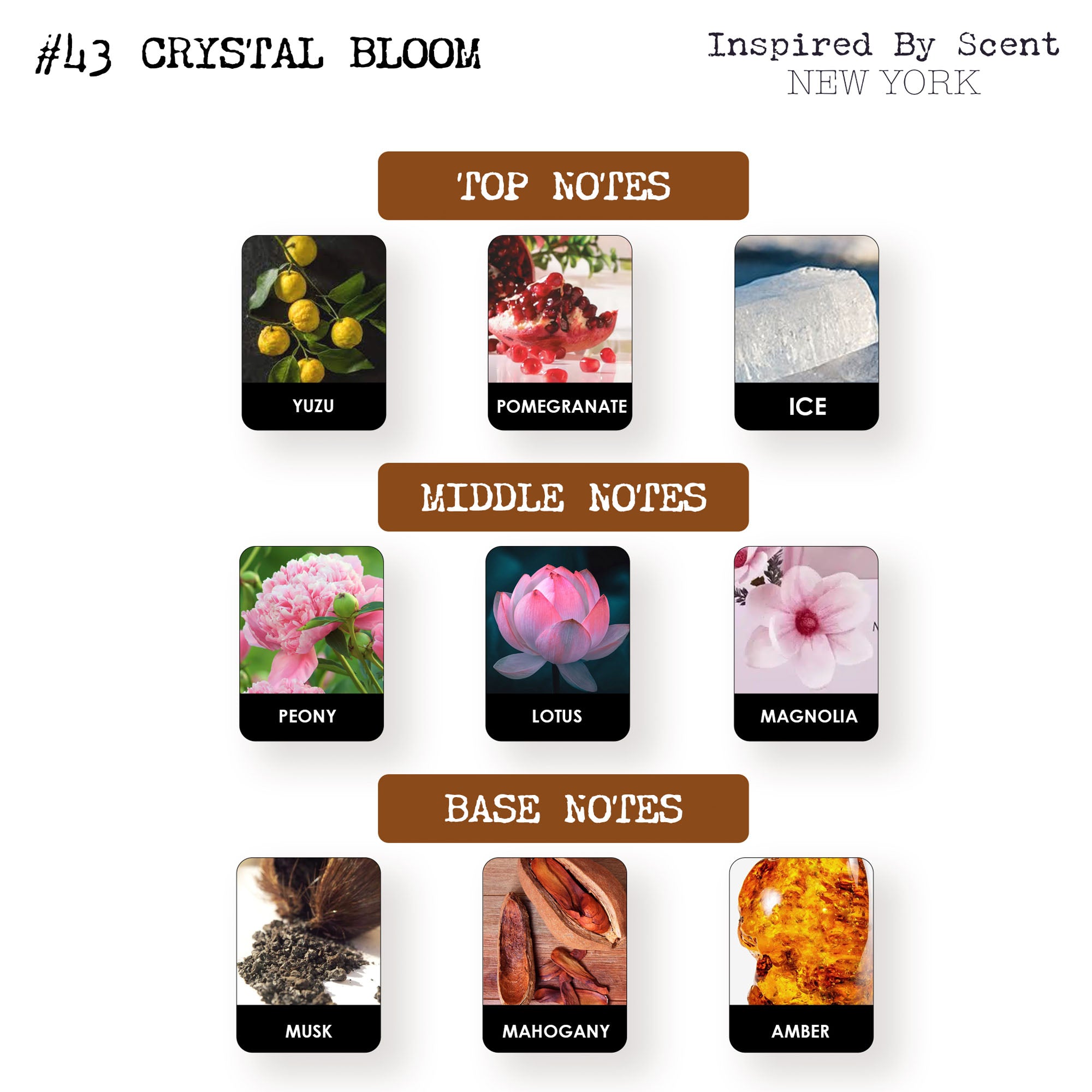 #43 Crystal Bloom Parfum