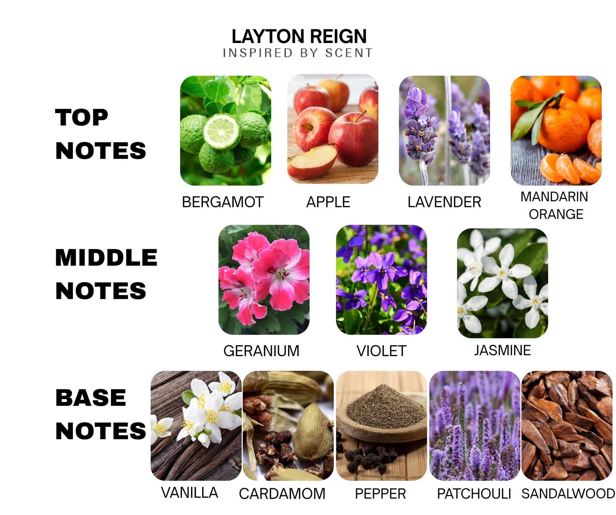 Inspired By Scent LAYTON – #27 Layton Reign Parfum