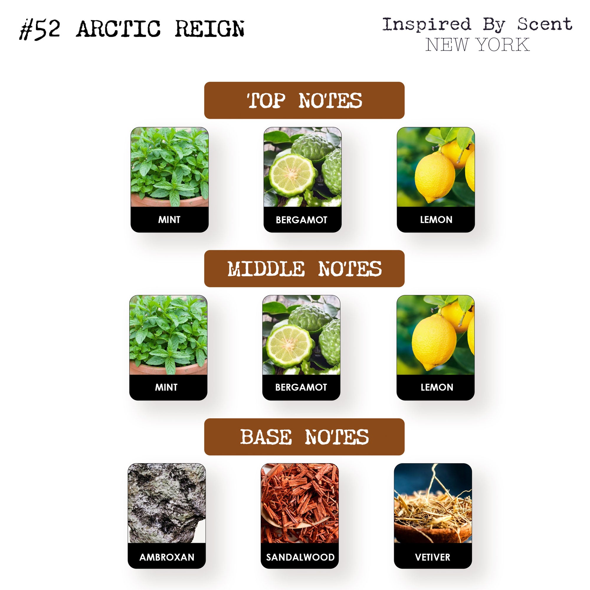 #52 Arctic Reign Parfum