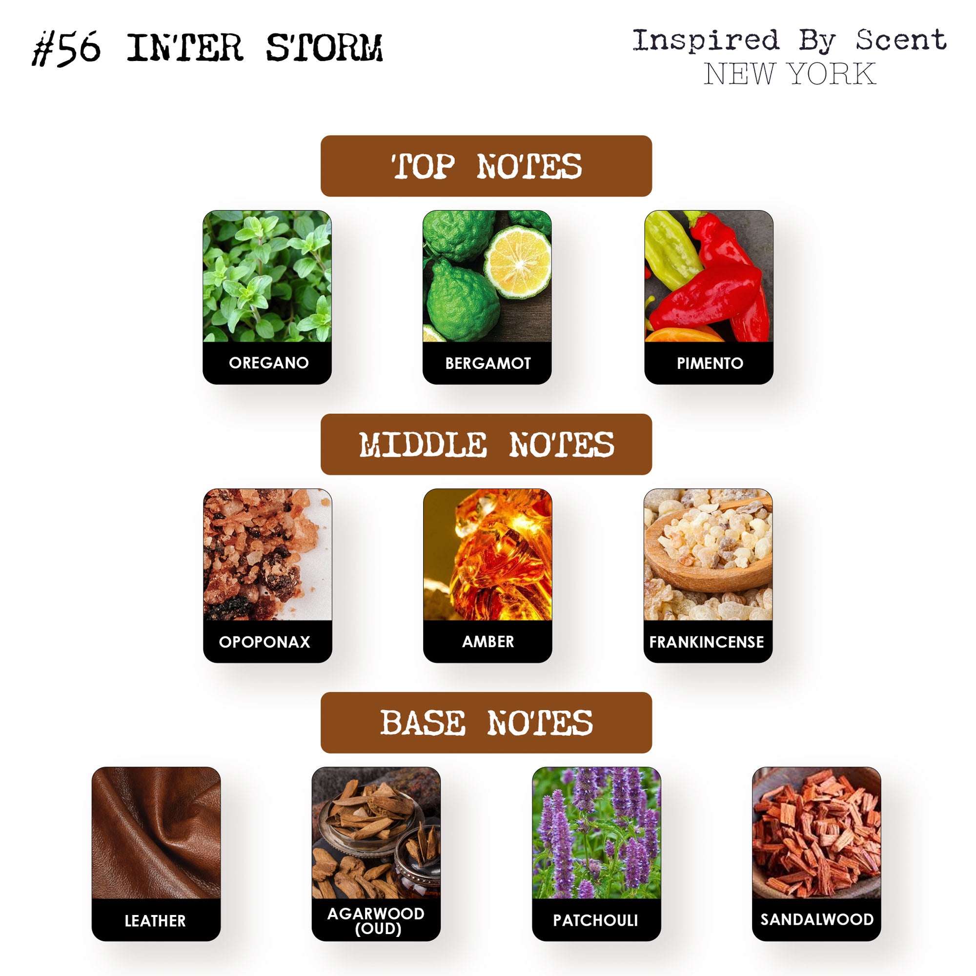#56 Inter Storm Parfum