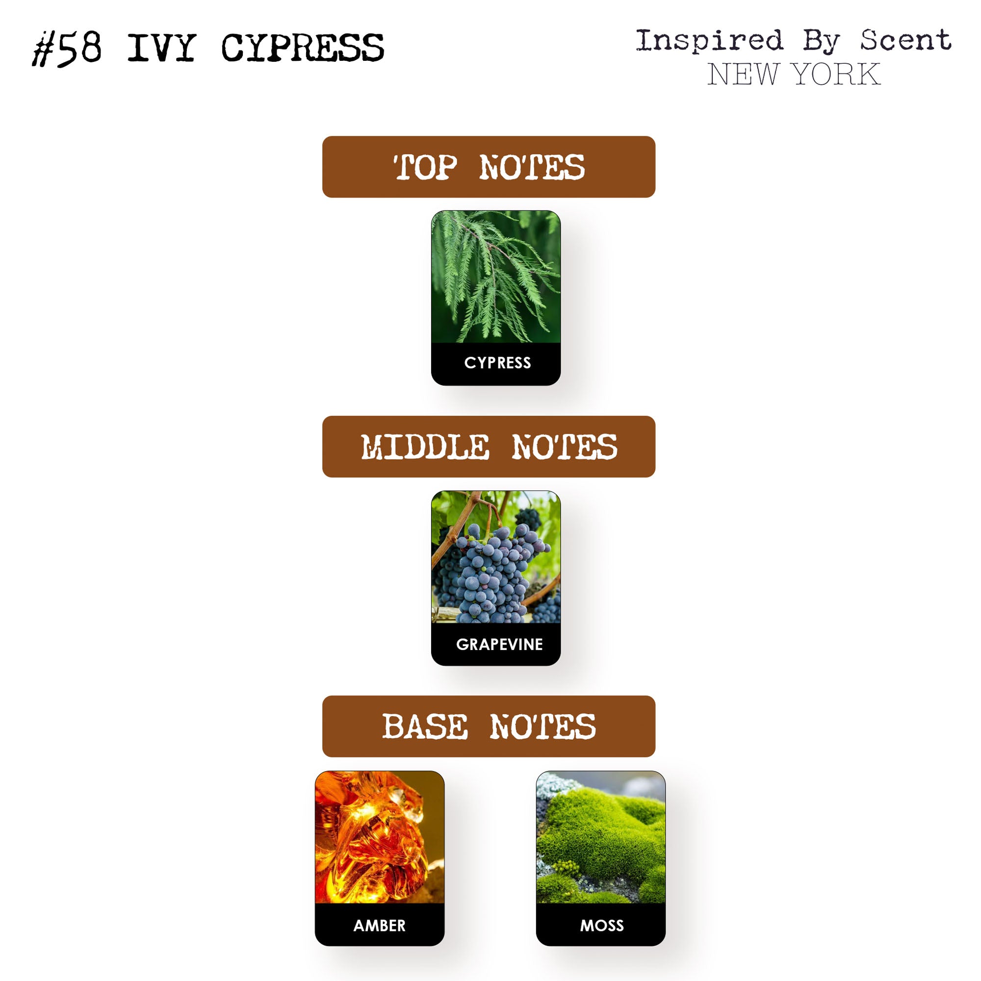 #58 Ivy Cypress Parfum