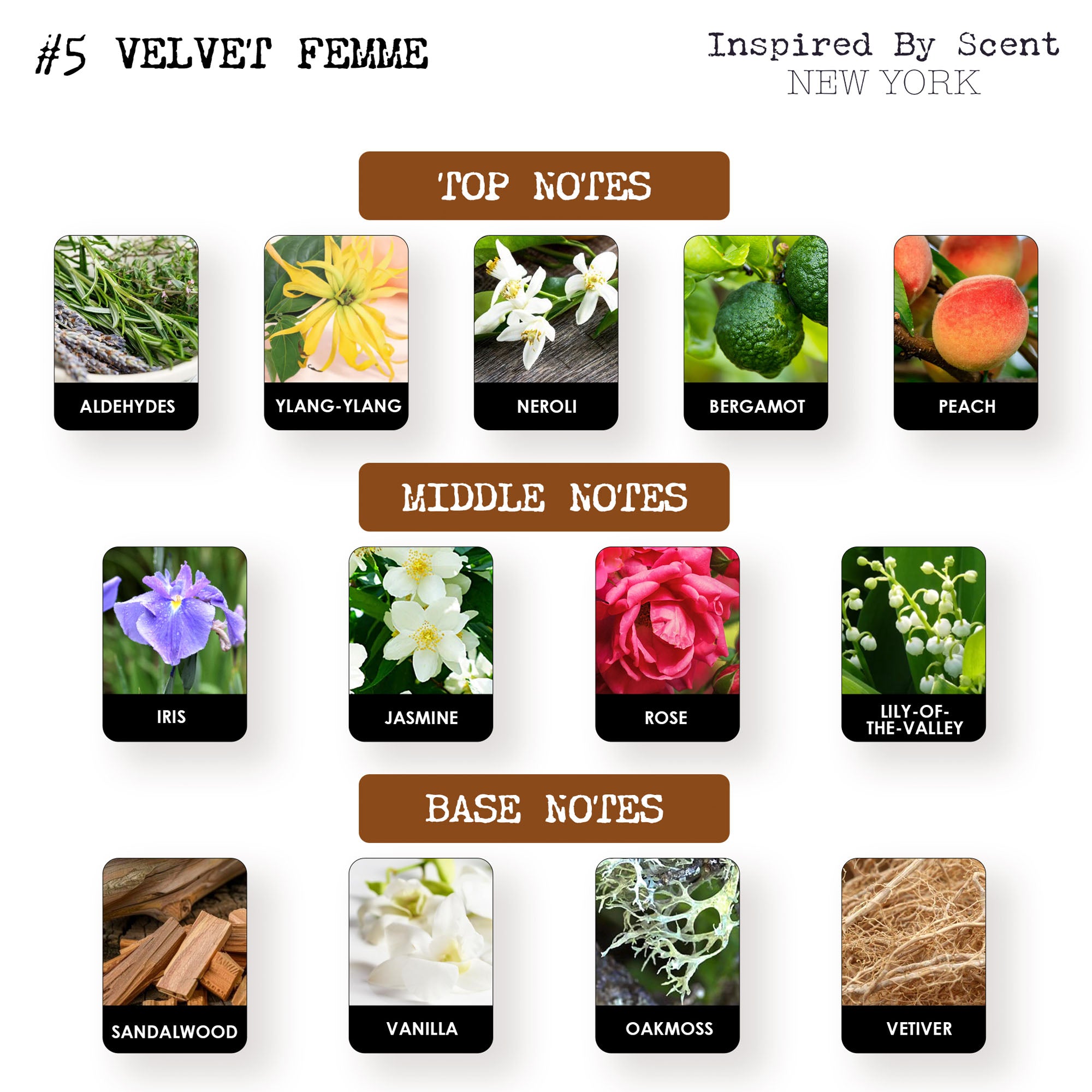 #5 Velvet Femme Parfum