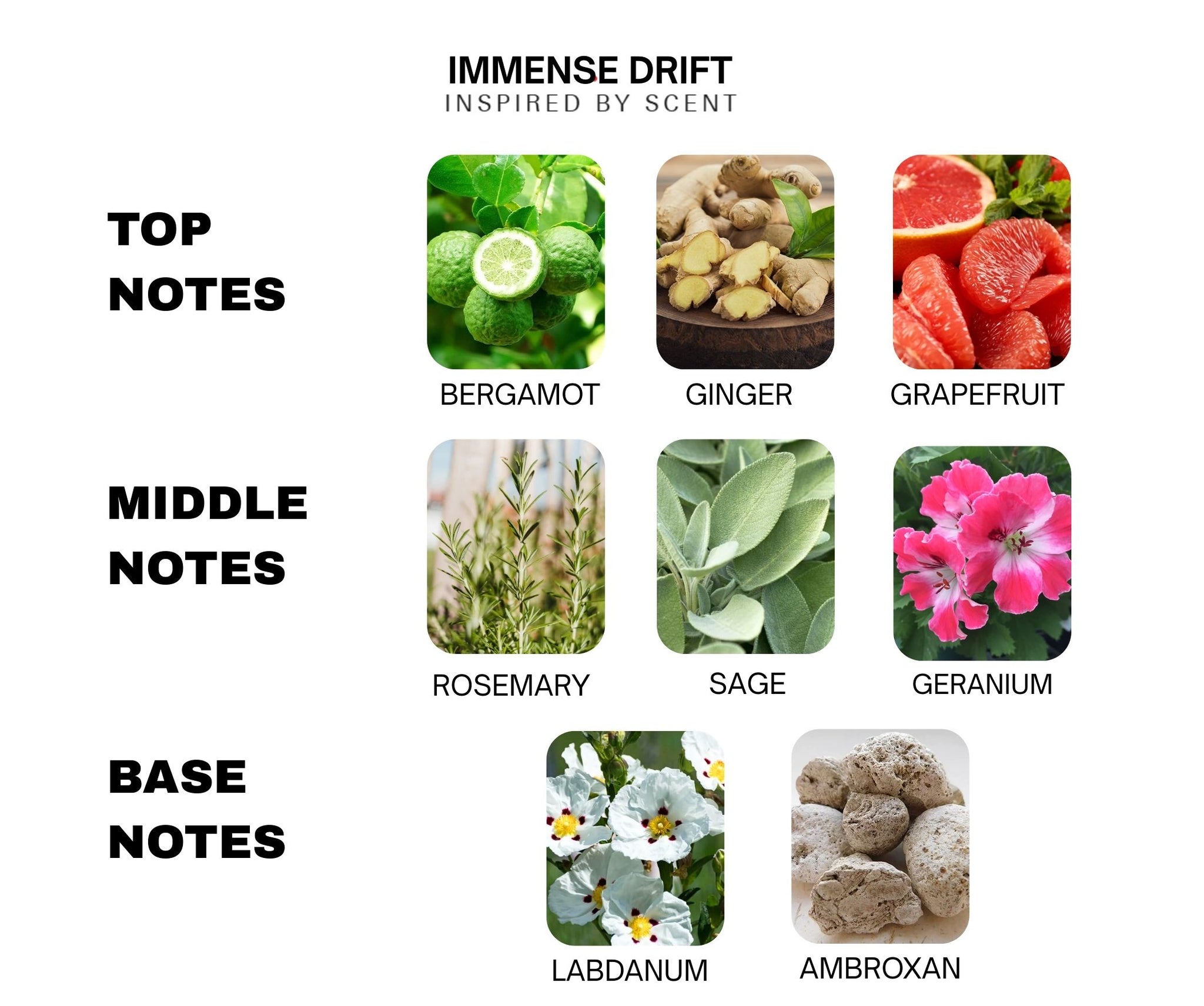 Inspired By Scent L'IMMENSITÉ – #4 Immense Drift Parfum