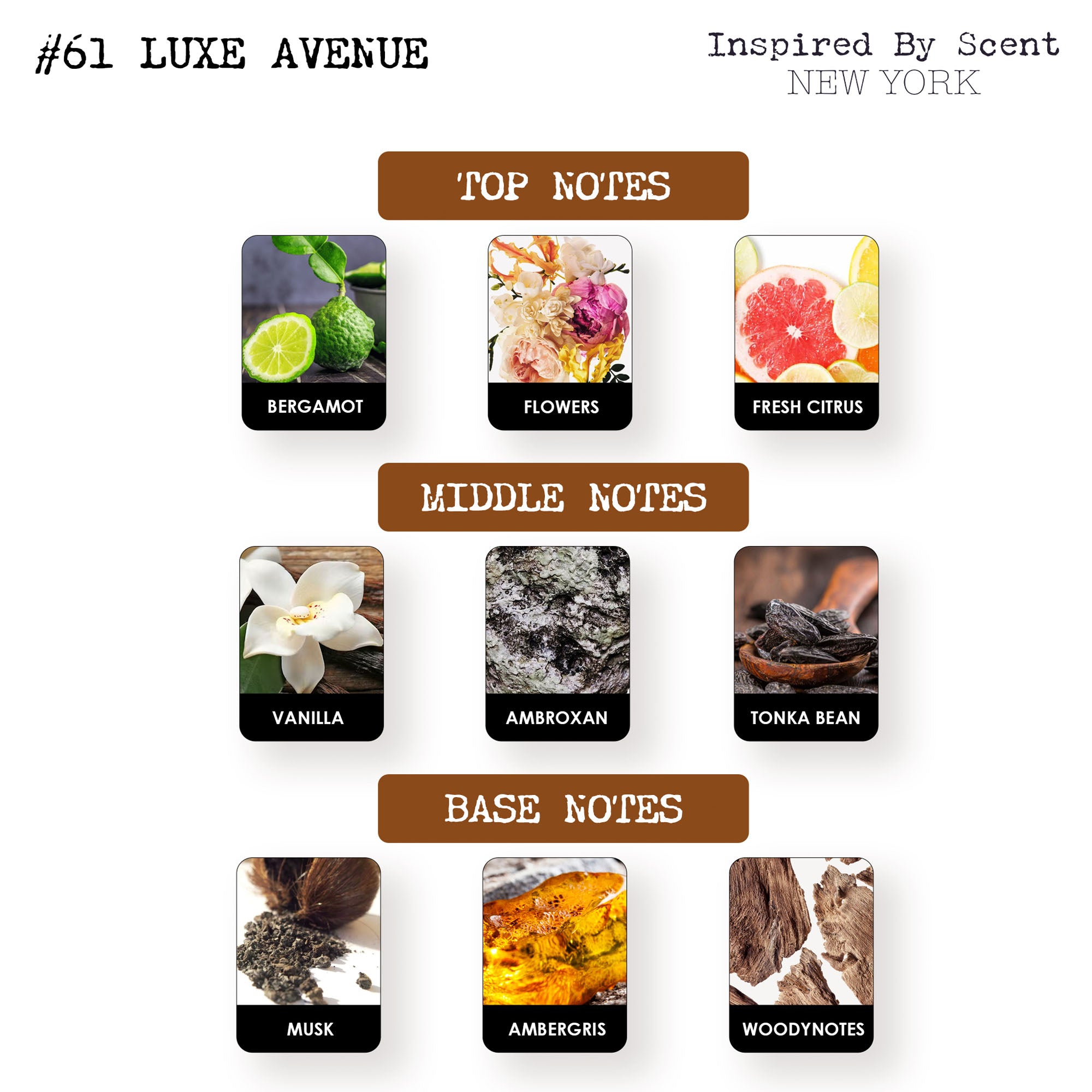 #61 Luxe Avenue Parfum