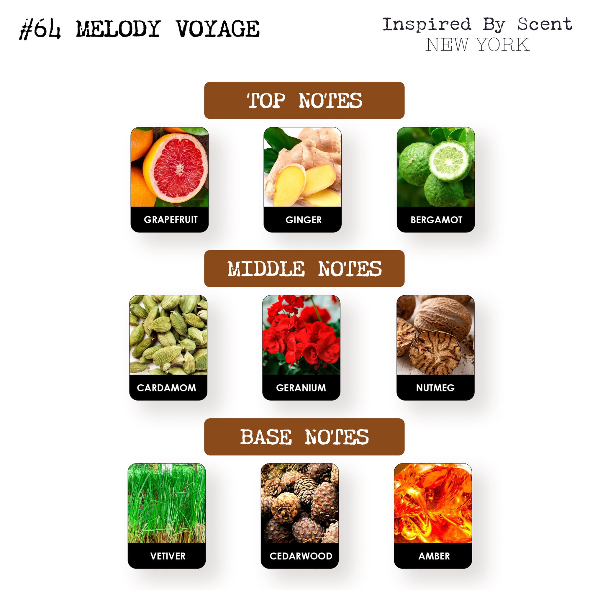 #64 Melody Voyage Parfum