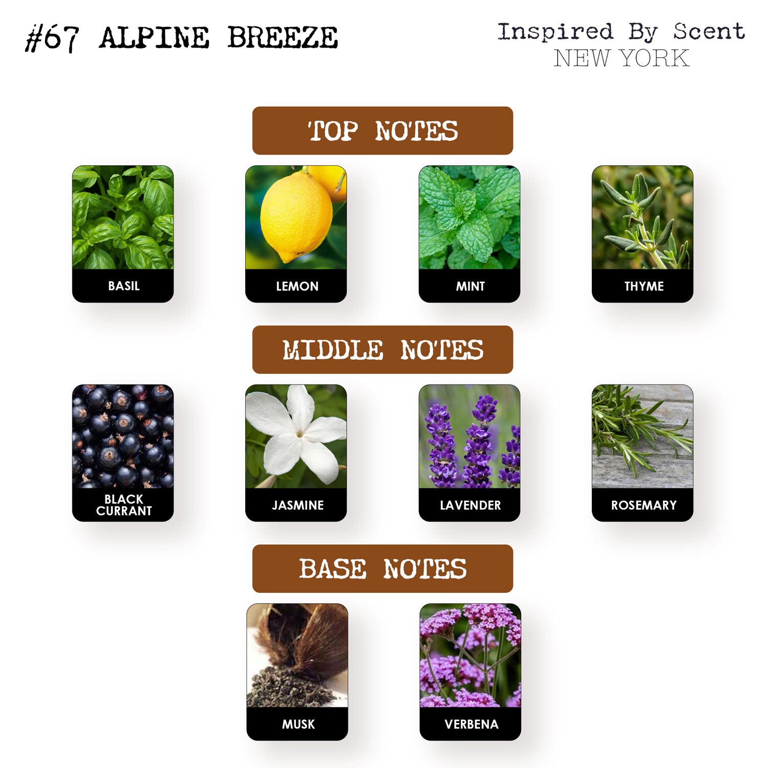 #67 Alpine Breeze Parfum