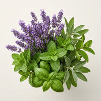 Green & Aromatic