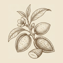 Almond