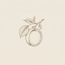 apricot