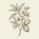 Bitter Almond