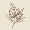 Cardamom