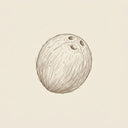 Coconut