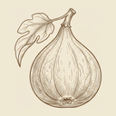 fig