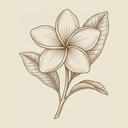 Frangipani