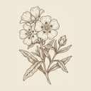 Labdanum