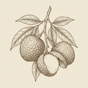 Lychee