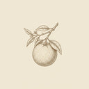 Mandarin