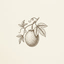 Passionfruit
