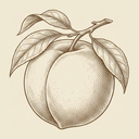 Peach
