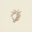 Pomegranate