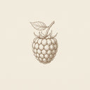 Raspberry