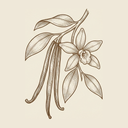 Vanilla