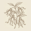 Ylang Ylang